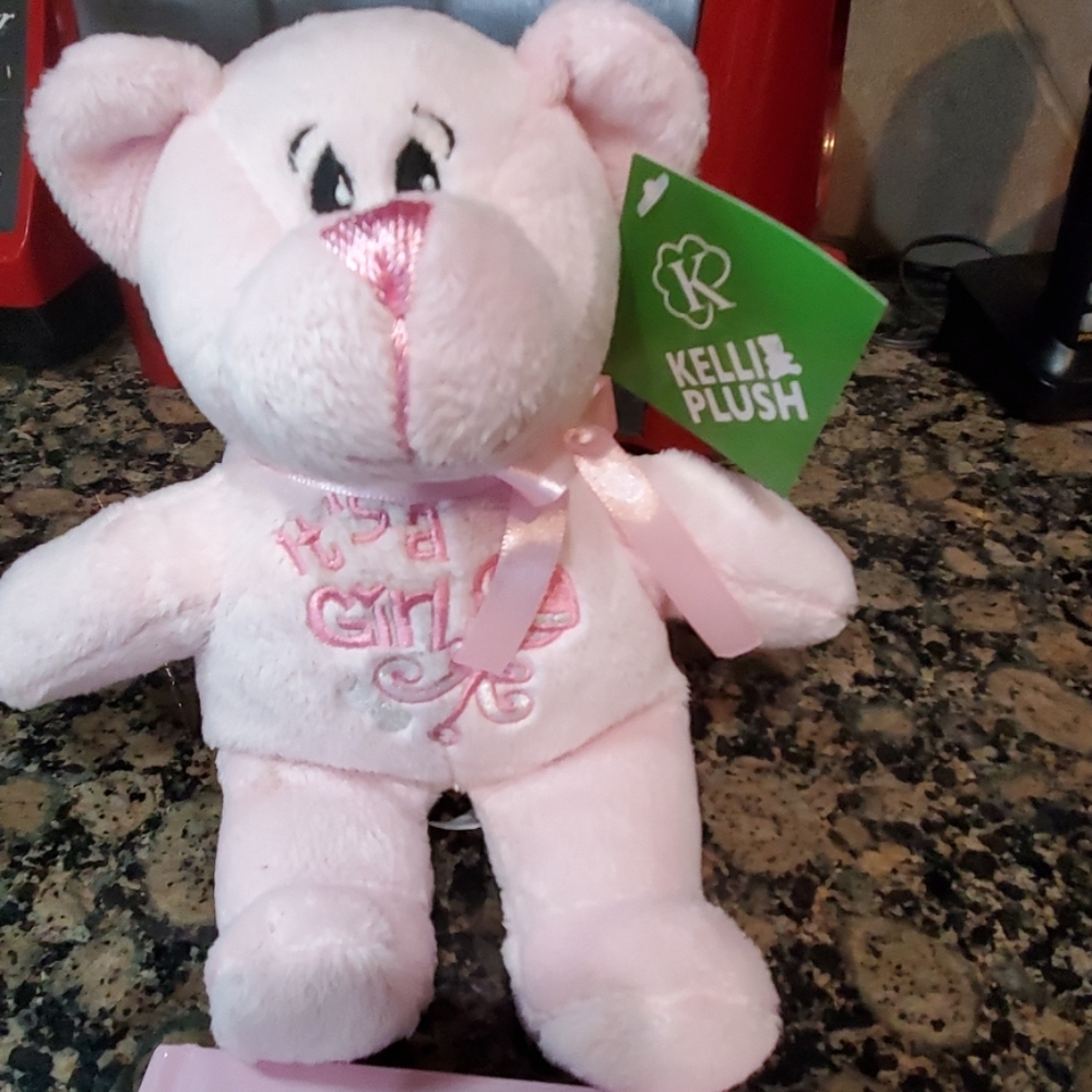 Stuff animal and bible